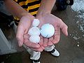 Figure 4: Large hailstones at the Foothills Golf Course