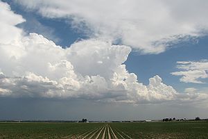 Cumulonimbus clouds (Cb) over the Colorado high plains